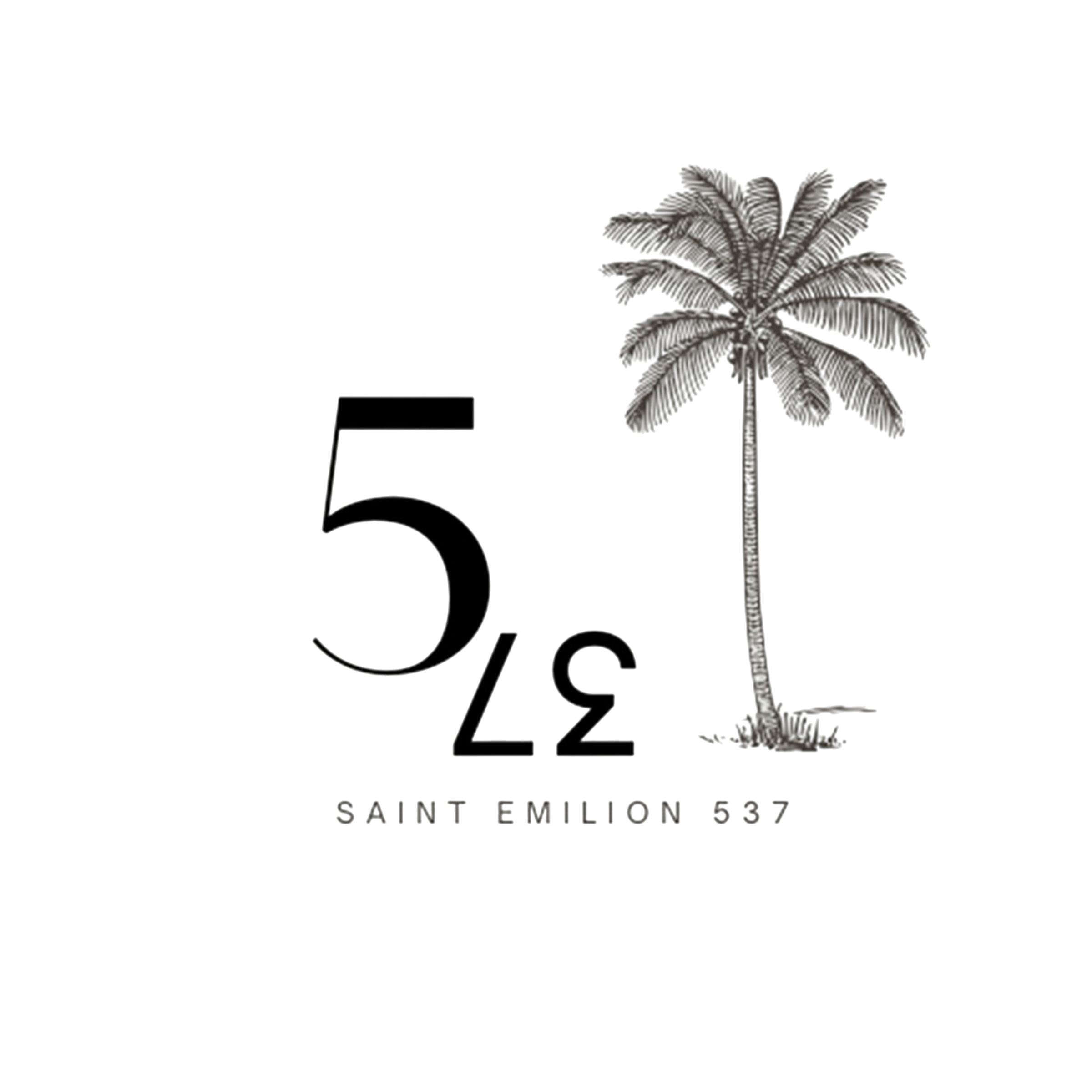537 Saint-Émilion